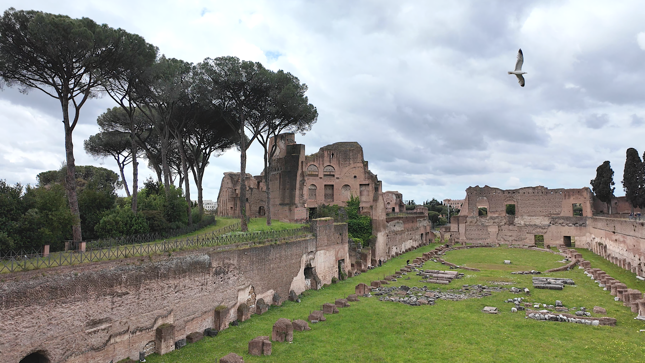 Palatine Stadium next to Domus Augustana